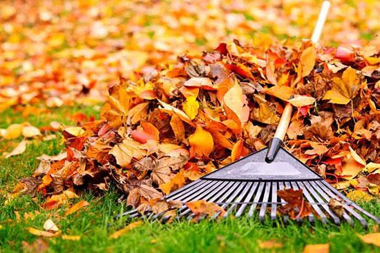 با مراقبت های پاییزی از باغچه آشنا شوید