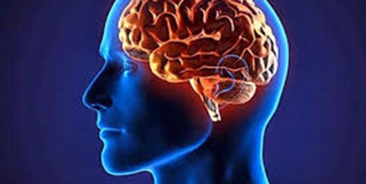 مغز را با این روش صحیح و سلامت نگه دارید