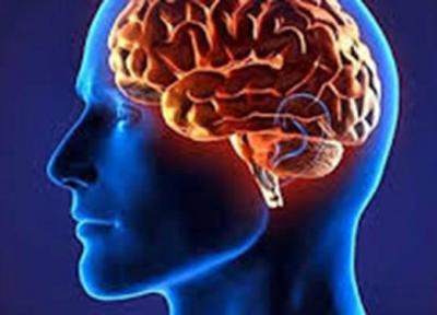 مغز را با این روش صحیح و سلامت نگه دارید
