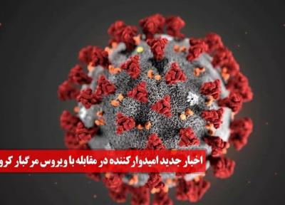اخبار جدید امیدوارکننده در مقابله با ویروس مرگبار کرونا