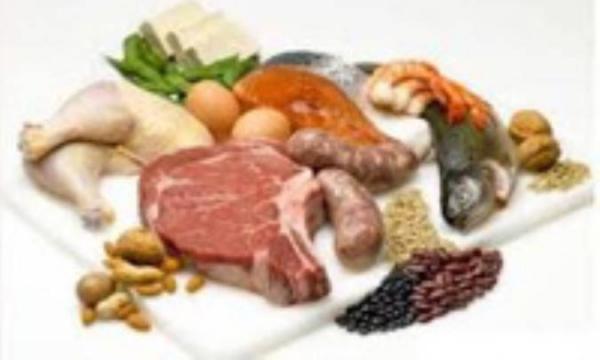 پروتئین حیوانی بهتر است یا گیاهی؟