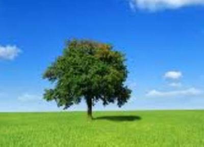 چهار تکنولوژی برتر جهت پاک سازی هوا